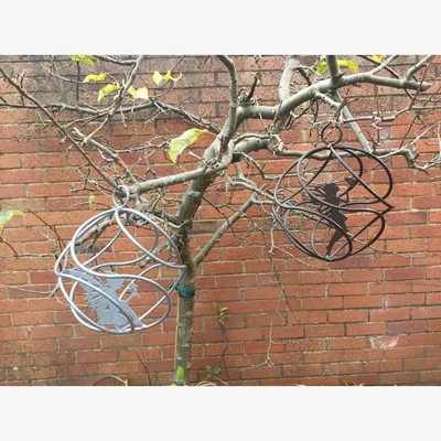 Downtown Poppy Forge Fairy Catcher Standing - Silver