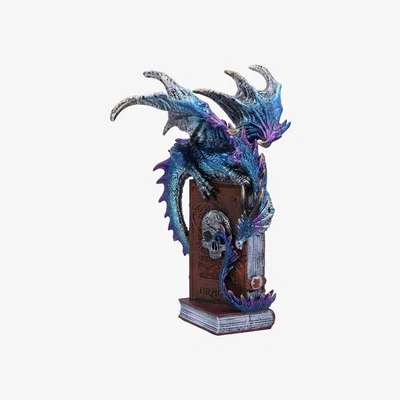 The Range A Tale of Dragons Skull Book Figurine - 22cm