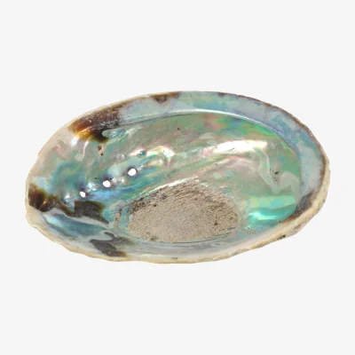 The Range Small Abalone Shell For Palo Santo Smudging - Multicolor