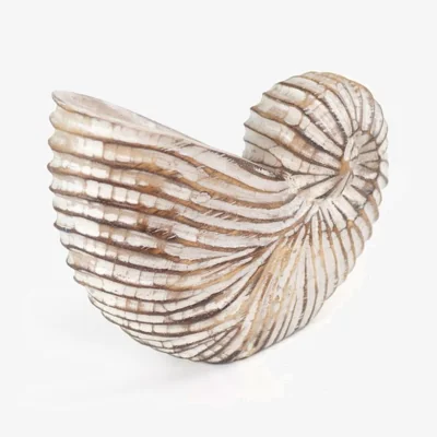 The Range Handcrafted Albasia Wood Shell Ornament From Bali - White