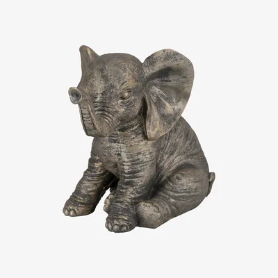 The Range Ebony The Elephant