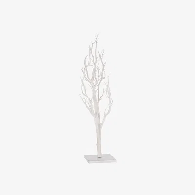 The Range White Manzinita Tree