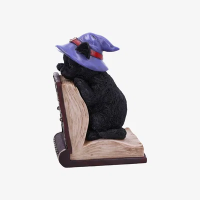 The Range Peek-a-boo Witch Cat Bookend - 20cm