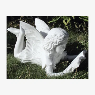 The Range Fairy Reading Book