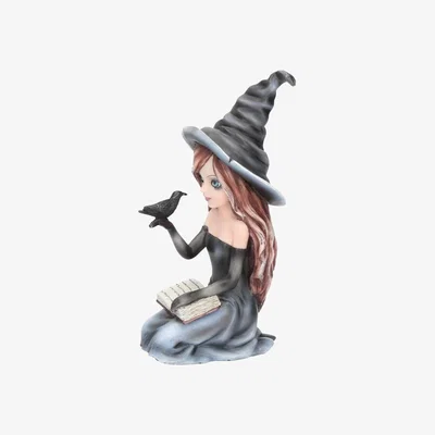 The Range Regan Witch and Her Raven Figurine - 17cm