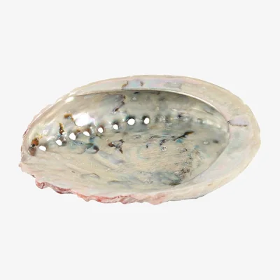 The Range Natural 10Cm Abalone Shell For Smudging And Palo Santo - Multicolor