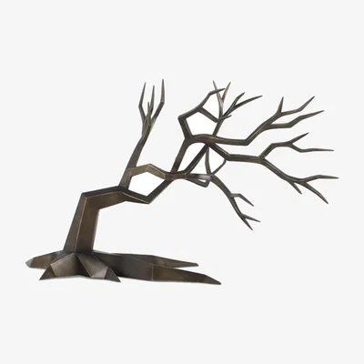 Tobias Oliver Christopher Guy | Bonsai Tree