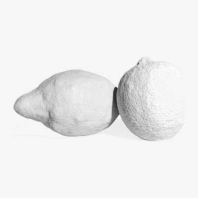 Wolf & Badger Large Ornamental Concrete Lemon Set Of Two White Studio Story