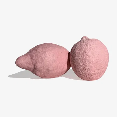Wolf & Badger Pink / Purple Large Ornamental Concrete Lemon Set Of Two Pink Studio Story