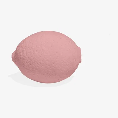 Wolf & Badger Ornamental Concrete Lemon Pink Studio Story