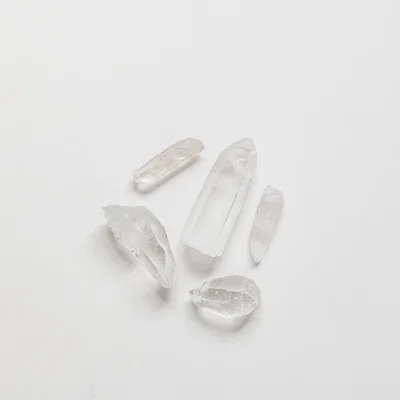 Wolf & Badger Neutrals Lemurian Seeds Small One Size Lemuria Store