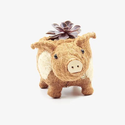 Wolf & Badger Neutrals Coco Coir Animal Planter Country Pig Likhâ
