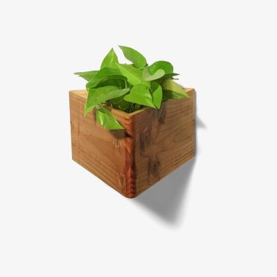 Wolf & Badger Neutrals Triangle Self-Watering, Wall-Mounted Planter - Natural One Size Formr