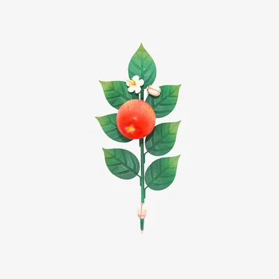 Wolf & Badger Green / Red Apple Wall Hook | Inner Child