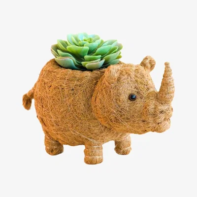 Wolf & Badger Brown Coco Coir Animal Planter Rhino Likhâ