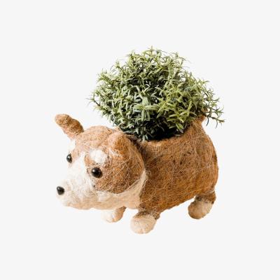 Wolf & Badger Brown Coco Coir Animal Planter - Corgi Version Two One Size Likhâ