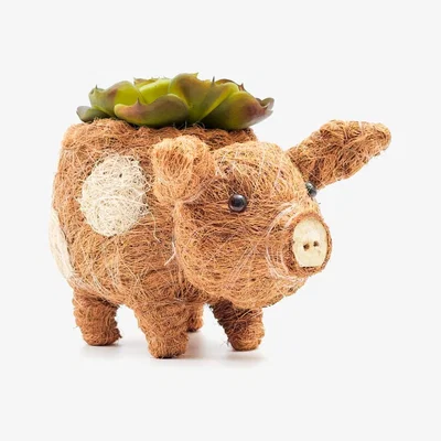 Wolf & Badger Brown Coco Coir Animal Planter Baby Country Pig Likhâ
