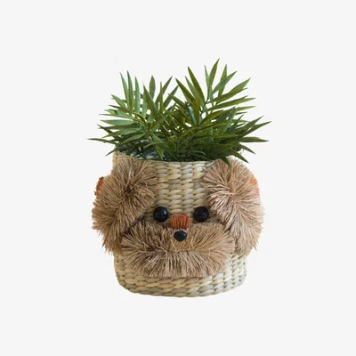 Wolf & Badger Neutrals Dog Seagrass Basket Planter - Animal Planter Likhâ