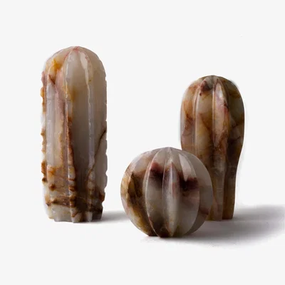 Wolf & Badger Cactus Set - Multicolour | And Jacob
