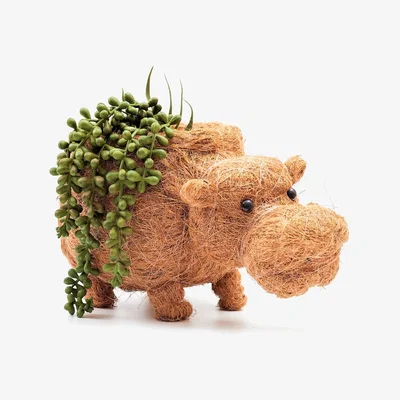 Wolf & Badger Neutrals Coco Coir Animal Planter Hippo Likhâ