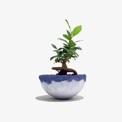 Wolf & Badger Roly-Poly Dancing Pot Medium With Drain Hole | Studio Story