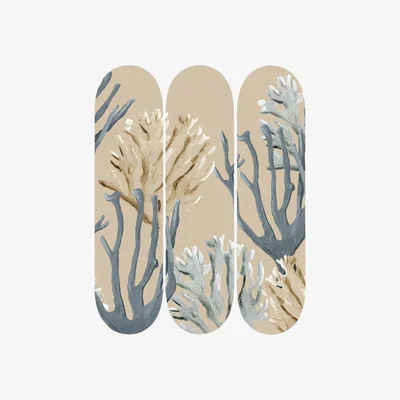 Wolf & Badger Skateboard Decks Wall Decor Blue Coastal Coral Set Of Three Catchii
