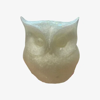 Wolf & Badger Sparkly White Owl By Shax