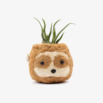 Wolf & Badger Neutrals Coco Coir Animal Planter Mini Pot Sloth Light Likhâ