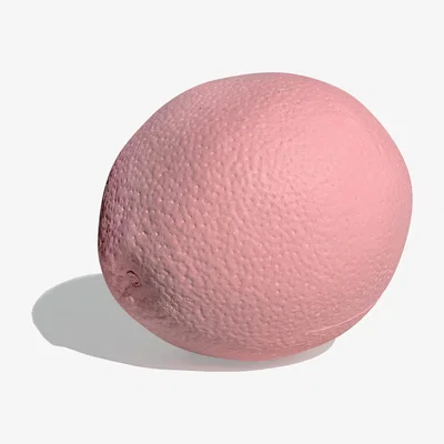 Wolf & Badger Ornamental Concrete Grapefruit Pink Studio Story