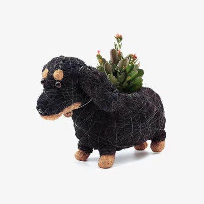 Wolf & Badger Black Coco Coir Animal Planter Dachshund Likhâ