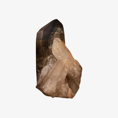 Wolf & Badger Neutrals Lemurian Seed Quartz 620 | Large | Lemuria Store