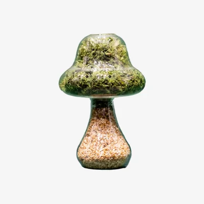 Wolf & Badger Neutrals / Green Moss Mushroom - Tall - Natural Stone | One Size | Botanical Boys