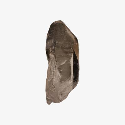 Wolf & Badger Neutrals Lemurian Seed Quartz 118G | Xxs | Lemuria Store