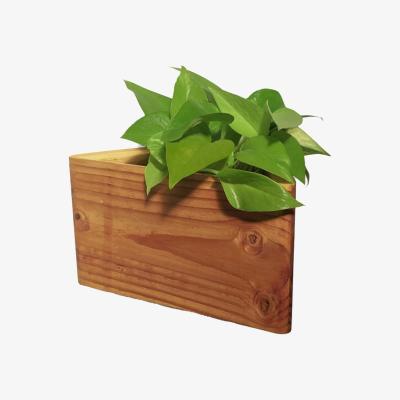 Wolf & Badger Neutrals / Black Triangle Self-Watering, Wall-Mounted Planter Formr