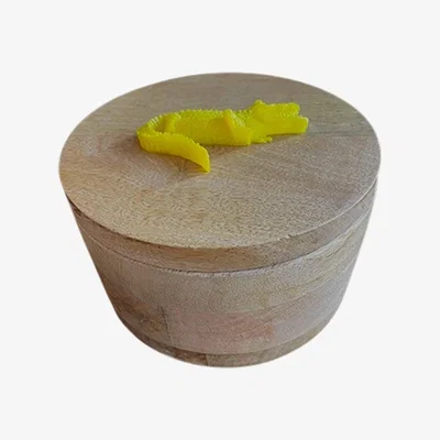 Wolf & Badger Yellow / Orange Storage Box Wood Alligator Catchii