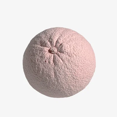 Wolf & Badger Pink / Purple Ornamental Concrete Orange In Pink Studio Story