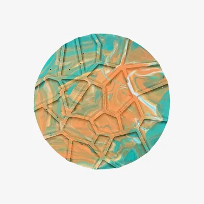 Wolf & Badger Webbed Coaster - Single Multicolour By Shax