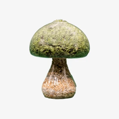 Wolf & Badger Moss Mushroom - Round - Natural Stone | One Size | Botanical Boys