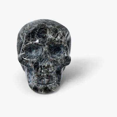 Wolf & Badger Black Tremolite Crystal Skull Sculpture One Size Awnl
