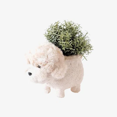 Wolf & Badger White Poodle Planter - Coco Coir Pots Likhâ One Size