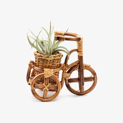 Wolf & Badger Neutrals Rattan Bike Planter Small Likhâ