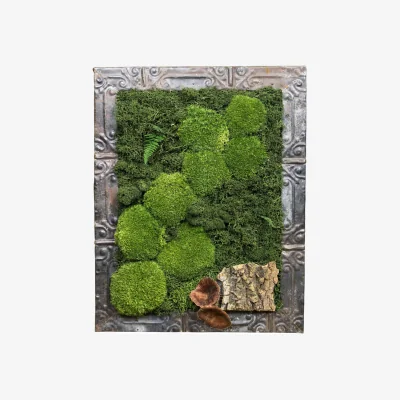 Wolf & Badger Green Preserved Moss Art Victorian Frame One | One Size | Botanical Boys