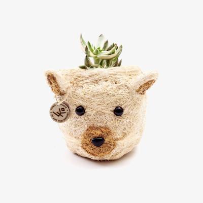Wolf & Badger Neutrals Coco Coir Mini Pot Cat Likhâ