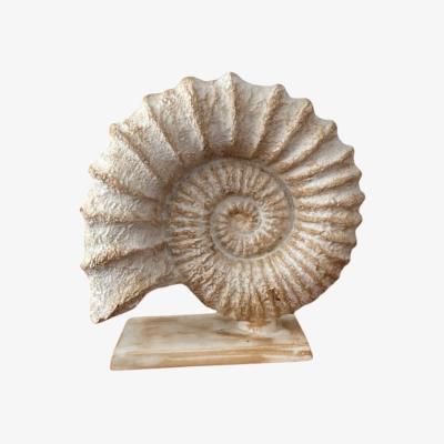 Wolf & Badger White Shell Design Sculpture Artchi