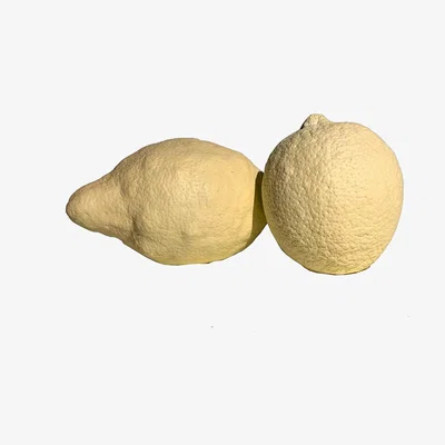 Wolf & Badger Yellow / Orange Large Ornamental Concrete Lemon Set Of Two Yellow Studio Story
