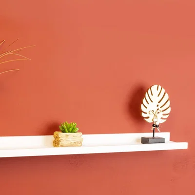 The Range Set of 2 Two White Shelf 80cm  - WHITE