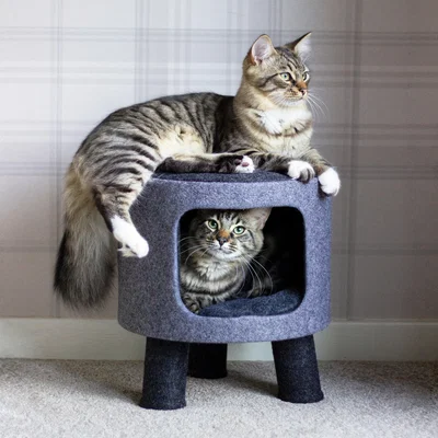 Dunelm Rosewood Felt Charcoal Cat Stool