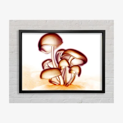 The Range Toad Stool Framed Print Abstract Prints - Black