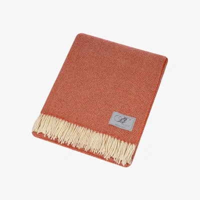 Amara Bronte by Moon - Parquet Merino Lambswool Throw - Coral