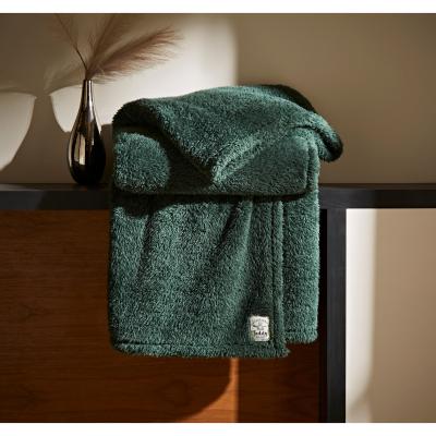 Dunelm Teddy Bear Throw Teddy Emerald